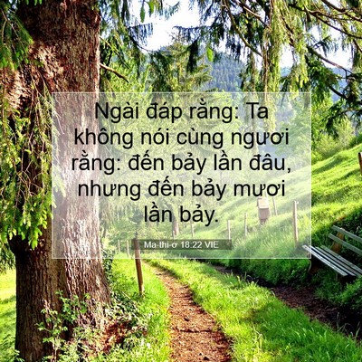 Picture 07 - Ma-thi-ơ 18:22 VIE - Ngài đáp rằng: Ta không nói cùng ngươi - Bible Verse Picture