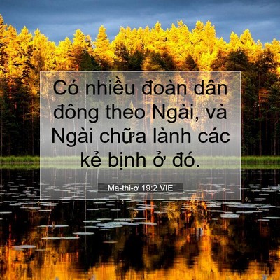 Picture 07 - Ma-thi-ơ 19:2 VIE - Có nhiều đoàn dân đông theo Ngài, và - Bible Verse Picture