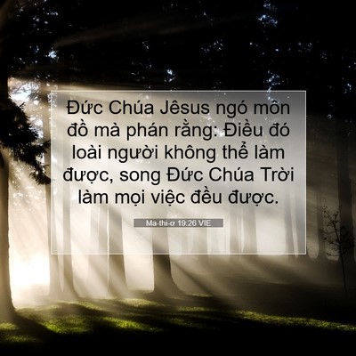 Picture 07 - Ma-thi-ơ 19:26 VIE - Đức Chúa Jêsus ngó môn đồ mà phán - Bible Verse Picture