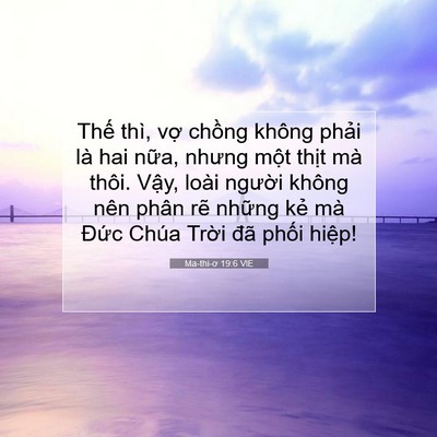 Picture 07 - Ma-thi-ơ 19:6 VIE - Thế thì, vợ chồng không phải là hai - Bible Verse Picture