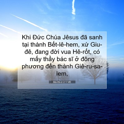 Picture 07 - Ma-thi-ơ 2:1 VIE - Khi Đức Chúa Jêsus đã sanh tại thành - Bible Verse Picture