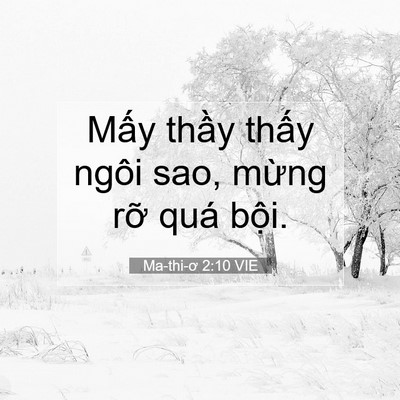Picture 07 - Ma-thi-ơ 2:10 VIE - Mấy thầy thấy ngôi sao, mừng rỡ quá - Bible Verse Picture