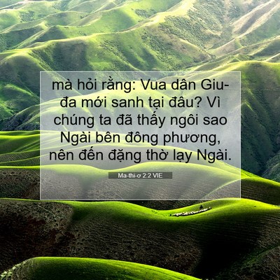 Picture 07 - Ma-thi-ơ 2:2 VIE - mà hỏi rằng: Vua dân Giu-đa mới sanh - Bible Verse Picture