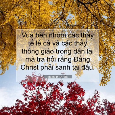 Picture 07 - Ma-thi-ơ 2:4 VIE - Vua bèn nhóm các thầy tế lễ cả và - Bible Verse Picture