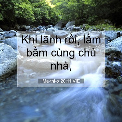 Picture 07 - Ma-thi-ơ 20:11 VIE - Khi lãnh rồi, lằm bằm cùng chủ - Bible Verse Picture