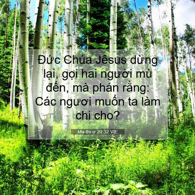 Picture 07 - Ma-thi-ơ 20:32 VIE - Đức Chúa Jêsus dừng lại, gọi hai - Bible Verse Picture