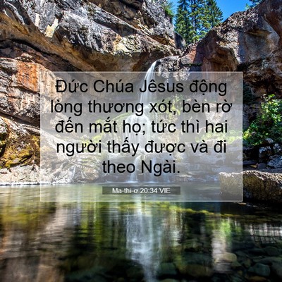 Picture 07 - Ma-thi-ơ 20:34 VIE - Đức Chúa Jêsus động lòng thương xót, - Bible Verse Picture