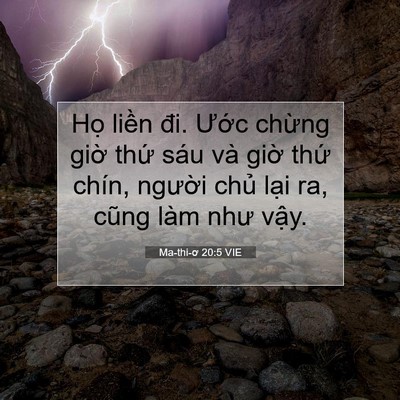 Picture 07 - Ma-thi-ơ 20:5 VIE - Họ liền đi. Ước chừng giờ thứ sáu - Bible Verse Picture