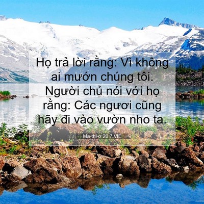 Picture 07 - Ma-thi-ơ 20:7 VIE - Họ trả lời rằng: Vì không ai mướn - Bible Verse Picture