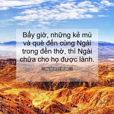 Picture 07 - Ma-thi-ơ 21:14 VIE - Bấy giờ, những kẻ mù và què đến - Bible Verse Picture