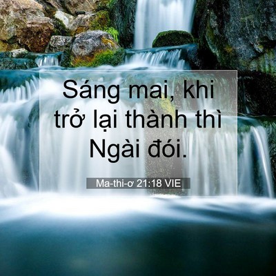 Picture 07 - Ma-thi-ơ 21:18 VIE - Sáng mai, khi trở lại thành thì Ngài - Bible Verse Picture