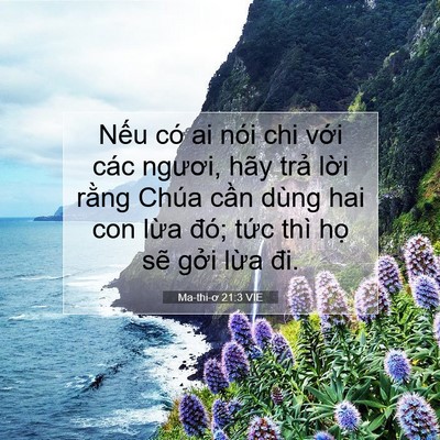 Picture 07 - Ma-thi-ơ 21:3 VIE - Nếu có ai nói chi với các ngươi, hãy - Bible Verse Picture