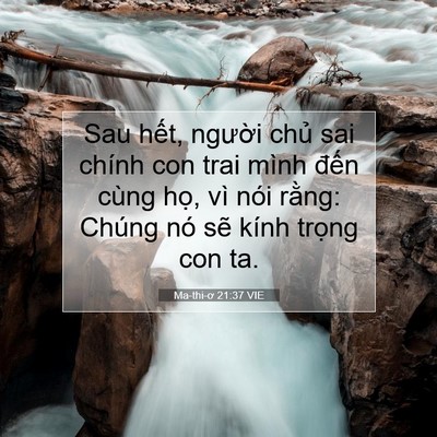 Picture 07 - Ma-thi-ơ 21:37 VIE - Sau hết, người chủ sai chính con trai - Bible Verse Picture
