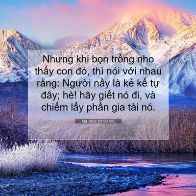 Picture 07 - Ma-thi-ơ 21:38 VIE - Nhưng khi bọn trồng nho thấy con đó, - Bible Verse Picture
