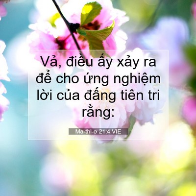 Picture 07 - Ma-thi-ơ 21:4 VIE - Vả, điều ấy xảy ra để cho ứng - Bible Verse Picture