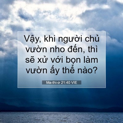 Picture 07 - Ma-thi-ơ 21:40 VIE - Vậy, khi người chủ vườn nho đến, - Bible Verse Picture