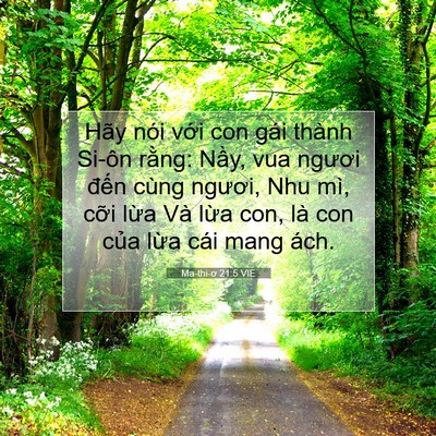 Picture 07 - Ma-thi-ơ 21:5 VIE - Hãy nói với con gái thành Si-ôn rằng: - Bible Verse Picture