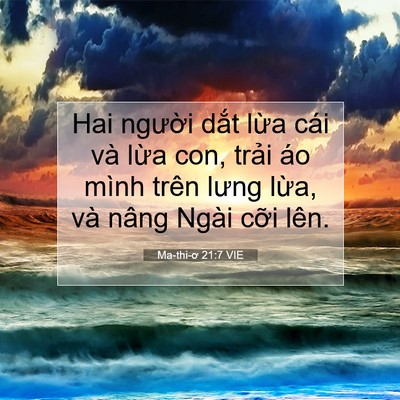 Picture 07 - Ma-thi-ơ 21:7 VIE - Hai người dắt lừa cái và lừa con, - Bible Verse Picture