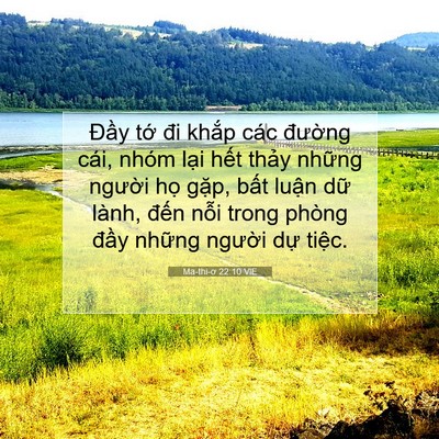 Picture 07 - Ma-thi-ơ 22:10 VIE - Đầy tớ đi khắp các đường cái, nhóm - Bible Verse Picture