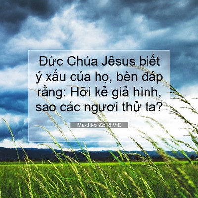 Picture 07 - Ma-thi-ơ 22:18 VIE - Đức Chúa Jêsus biết ý xấu của họ, - Bible Verse Picture