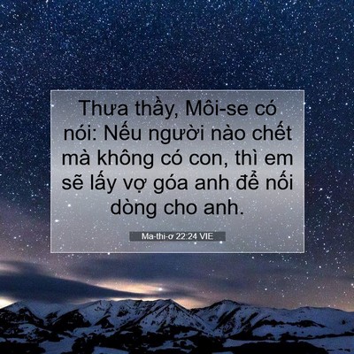 Picture 07 - Ma-thi-ơ 22:24 VIE - Thưa thầy, Môi-se có nói: Nếu người - Bible Verse Picture
