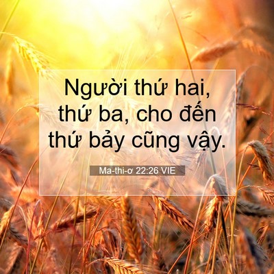 Picture 07 - Ma-thi-ơ 22:26 VIE - Người thứ hai, thứ ba, cho đến thứ - Bible Verse Picture