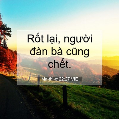 Picture 07 - Ma-thi-ơ 22:27 VIE - Rốt lại, người đàn bà cũng - Bible Verse Picture