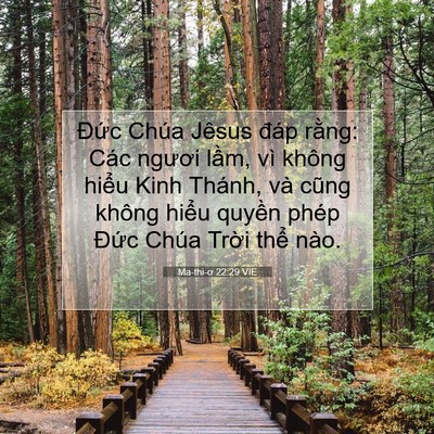 Picture 07 - Ma-thi-ơ 22:29 VIE - Đức Chúa Jêsus đáp rằng: Các ngươi - Bible Verse Picture