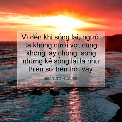 Picture 07 - Ma-thi-ơ 22:30 VIE - Vì đến khi sống lại, người ta không - Bible Verse Picture