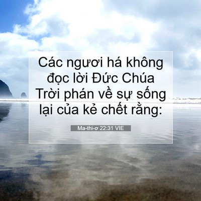Picture 07 - Ma-thi-ơ 22:31 VIE - Các ngươi há không đọc lời Đức Chúa - Bible Verse Picture