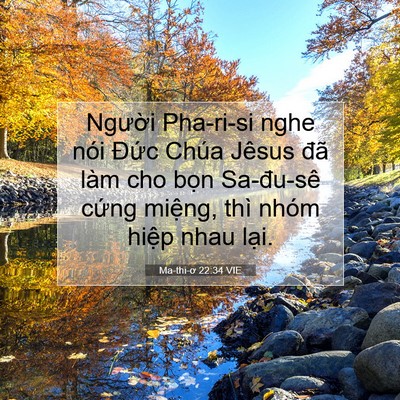 Picture 07 - Ma-thi-ơ 22:34 VIE - Người Pha-ri-si nghe nói Đức Chúa Jêsus - Bible Verse Picture