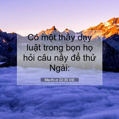 Picture 07 - Ma-thi-ơ 22:35 VIE - Có một thầy dạy luật trong bọn họ - Bible Verse Picture