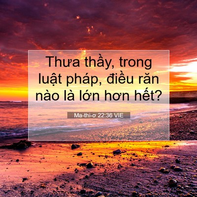 Picture 07 - Ma-thi-ơ 22:36 VIE - Thưa thầy, trong luật pháp, điều răn - Bible Verse Picture