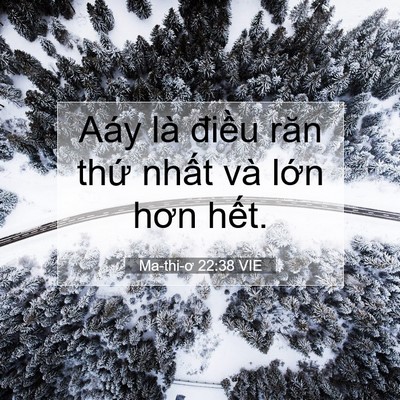 Picture 07 - Ma-thi-ơ 22:38 VIE - Aáy là điều răn thứ nhất và lớn hơn - Bible Verse Picture