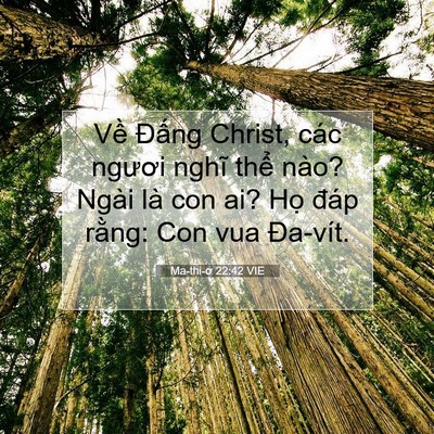 Picture 07 - Ma-thi-ơ 22:42 VIE - Về Đấng Christ, các ngươi nghĩ thể - Bible Verse Picture