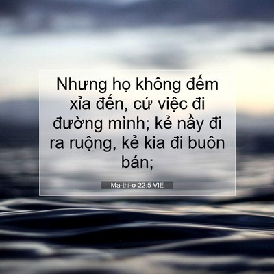 Picture 07 - Ma-thi-ơ 22:5 VIE - Nhưng họ không đếm xỉa đến, cứ - Bible Verse Picture