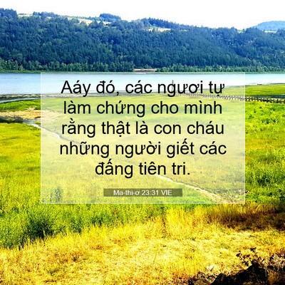 Picture 07 - Ma-thi-ơ 23:31 VIE - Aáy đó, các ngươi tự làm chứng cho - Bible Verse Picture