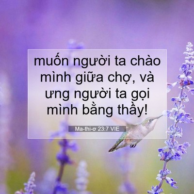 Picture 07 - Ma-thi-ơ 23:7 VIE - muốn người ta chào mình giữa chợ, và - Bible Verse Picture