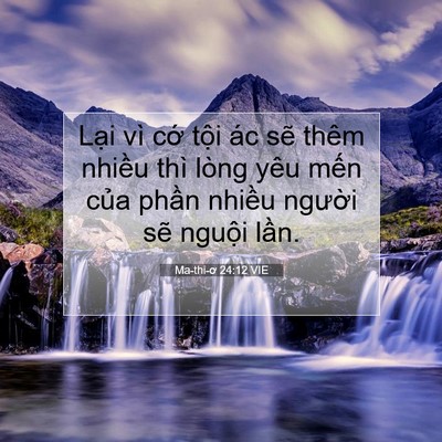 Picture 07 - Ma-thi-ơ 24:12 VIE - Lại vì cớ tội ác sẽ thêm nhiều thì - Bible Verse Picture