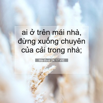 Picture 07 - Ma-thi-ơ 24:17 VIE - ai ở trên mái nhà, đừng xuống chuyên - Bible Verse Picture