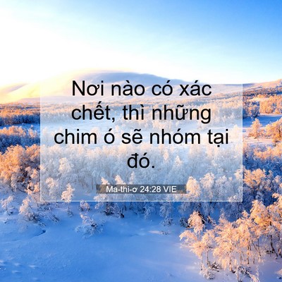Picture 07 - Ma-thi-ơ 24:28 VIE - Nơi nào có xác chết, thì những chim ó - Bible Verse Picture