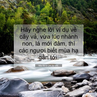 Picture 07 - Ma-thi-ơ 24:32 VIE - Hãy nghe lời ví dụ về cây vả, vừa - Bible Verse Picture