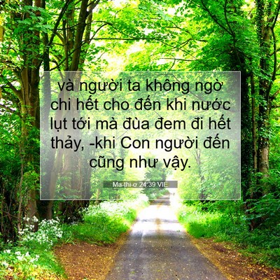 Picture 07 - Ma-thi-ơ 24:39 VIE - và người ta không ngờ chi hết cho đến - Bible Verse Picture