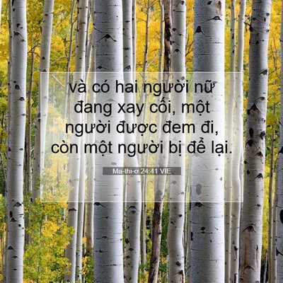 Picture 07 - Ma-thi-ơ 24:41 VIE - và có hai người nữ đang xay cối, một - Bible Verse Picture