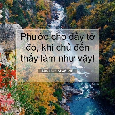 Picture 07 - Ma-thi-ơ 24:46 VIE - Phước cho đầy tớ đó, khi chủ đến - Bible Verse Picture