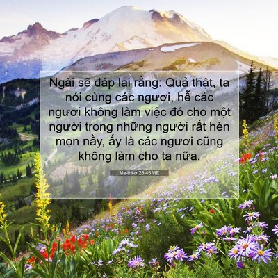 Picture 07 - Ma-thi-ơ 25:45 VIE - Ngài sẽ đáp lại rằng: Quả thật, ta - Bible Verse Picture