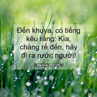 Picture 07 - Ma-thi-ơ 25:6 VIE - Đến khuya, có tiếng kêu rằng: Kìa, - Bible Verse Picture