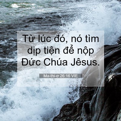 Picture 07 - Ma-thi-ơ 26:16 VIE - Từ lúc đó, nó tìm dịp tiện để nộp - Bible Verse Picture