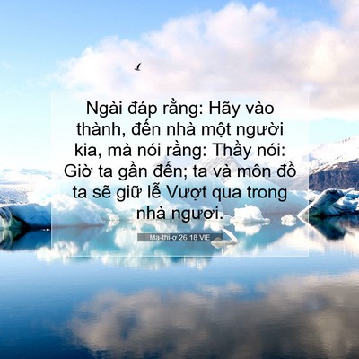 Picture 07 - Ma-thi-ơ 26:18 VIE - Ngài đáp rằng: Hãy vào thành, đến nhà - Bible Verse Picture