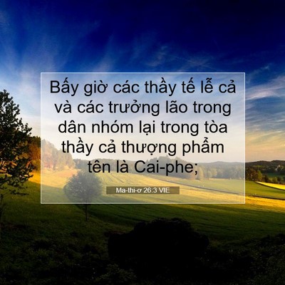 Picture 07 - Ma-thi-ơ 26:3 VIE - Bấy giờ các thầy tế lễ cả và các - Bible Verse Picture